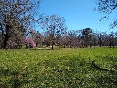 A view from Morgan’s Hill across the Cowpens battlefield