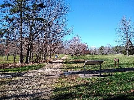 Tarleton’s initial view of the battlefield as his forces emerged from the tree line