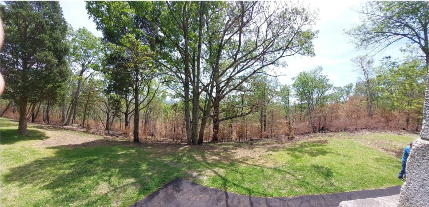 The wooded ridgeline at Kings Mountain as seen from Ferguson’s position